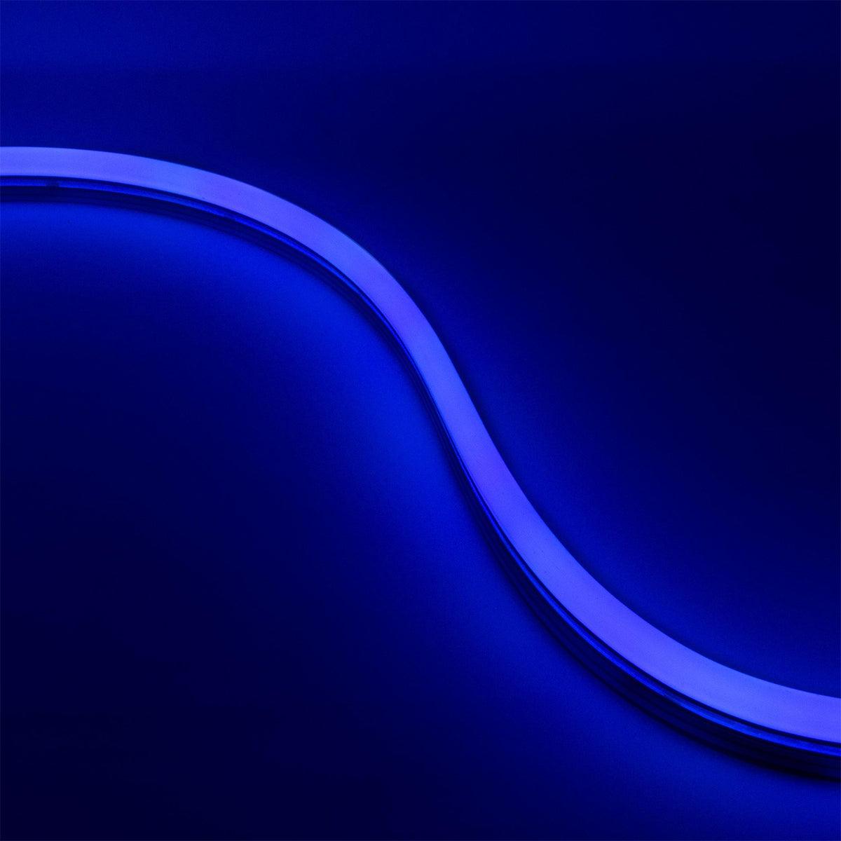 Neon BLAZE LED Neon Strip Light, Blue, 24V, Side Bending - Bees Lighting