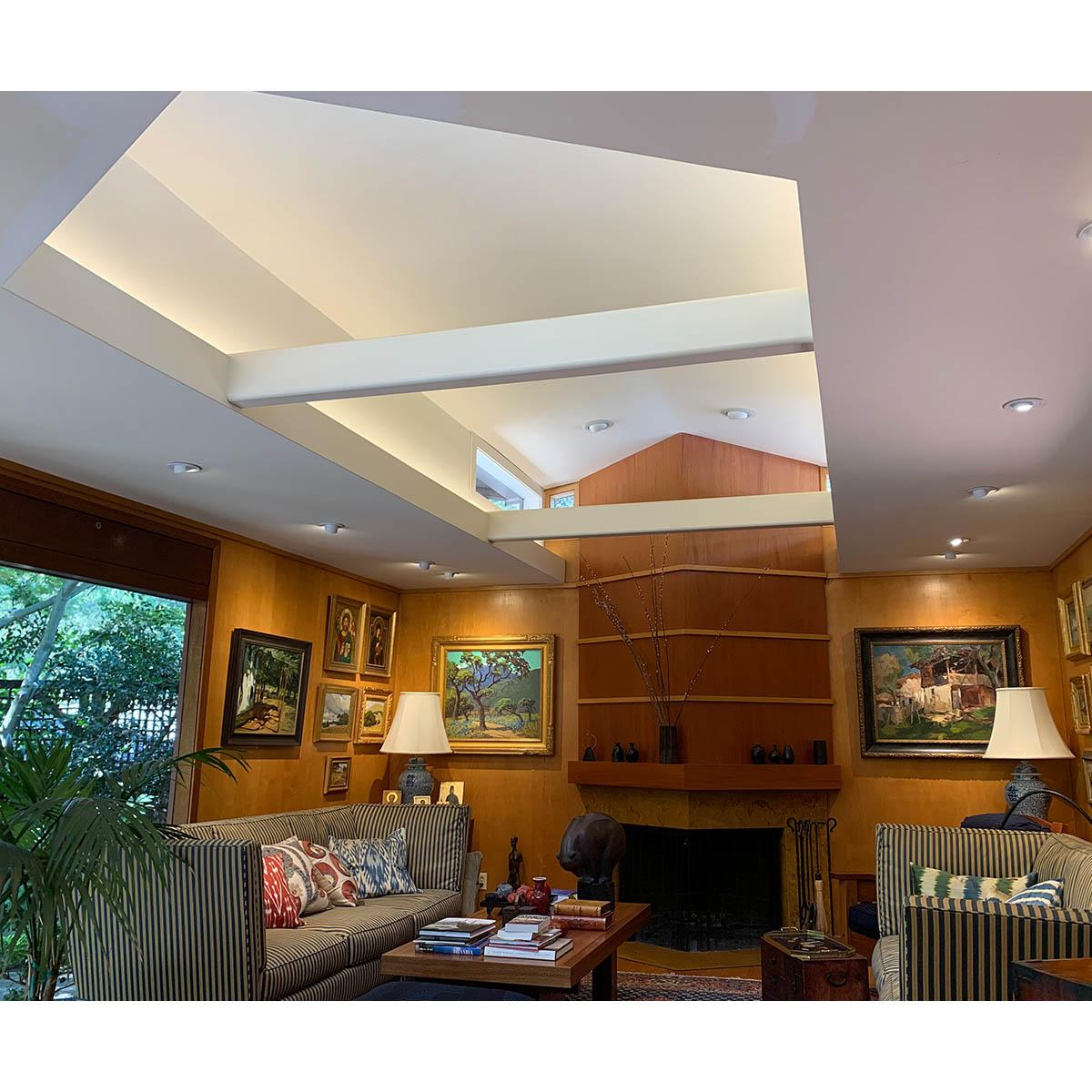Diode LED VALENT X Tight-Pitch LED Strip Light - Bees Lighting