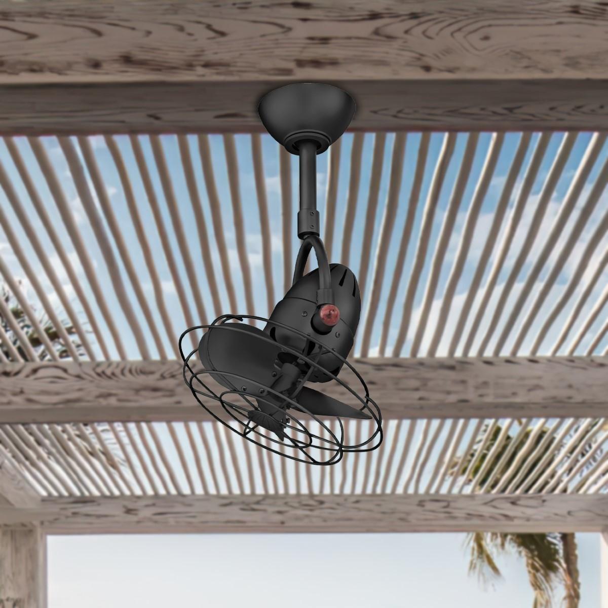 Diane 13 Inch Oscillating Ceiling Fan with a Decorative Cage, Matte Black - Bees Lighting