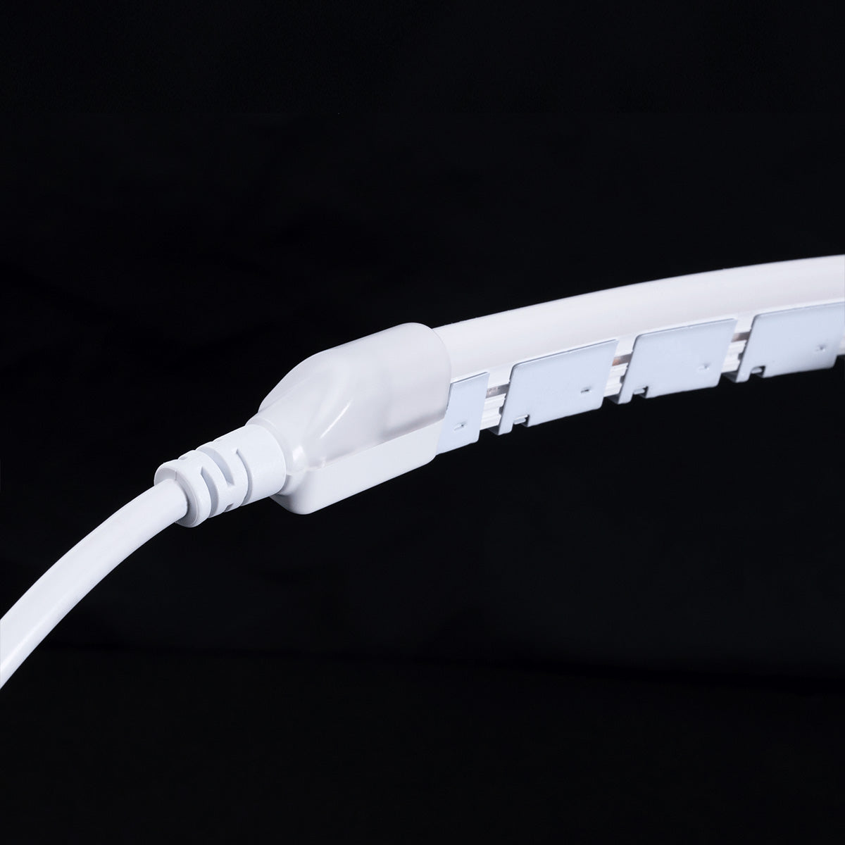 16Ft Neon Blaze Flexible LED Lighting, 6300K, 24V, Side Bending - Bees Lighting