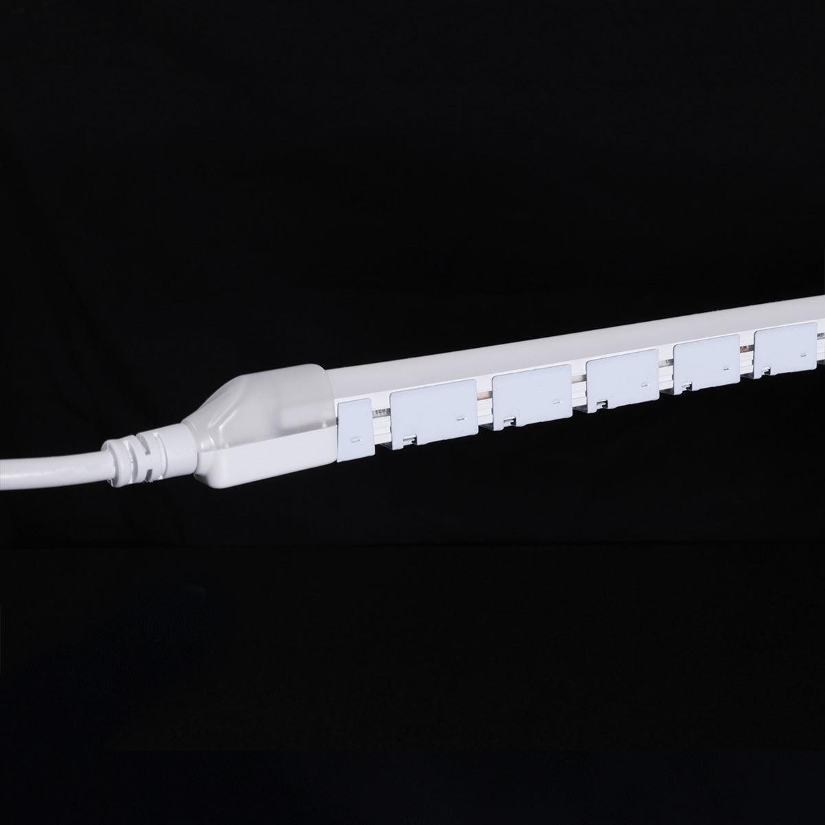 65Ft Neon Blaze Flexible LED Lighting, 3500K, 24V, Side Bending - Bees Lighting