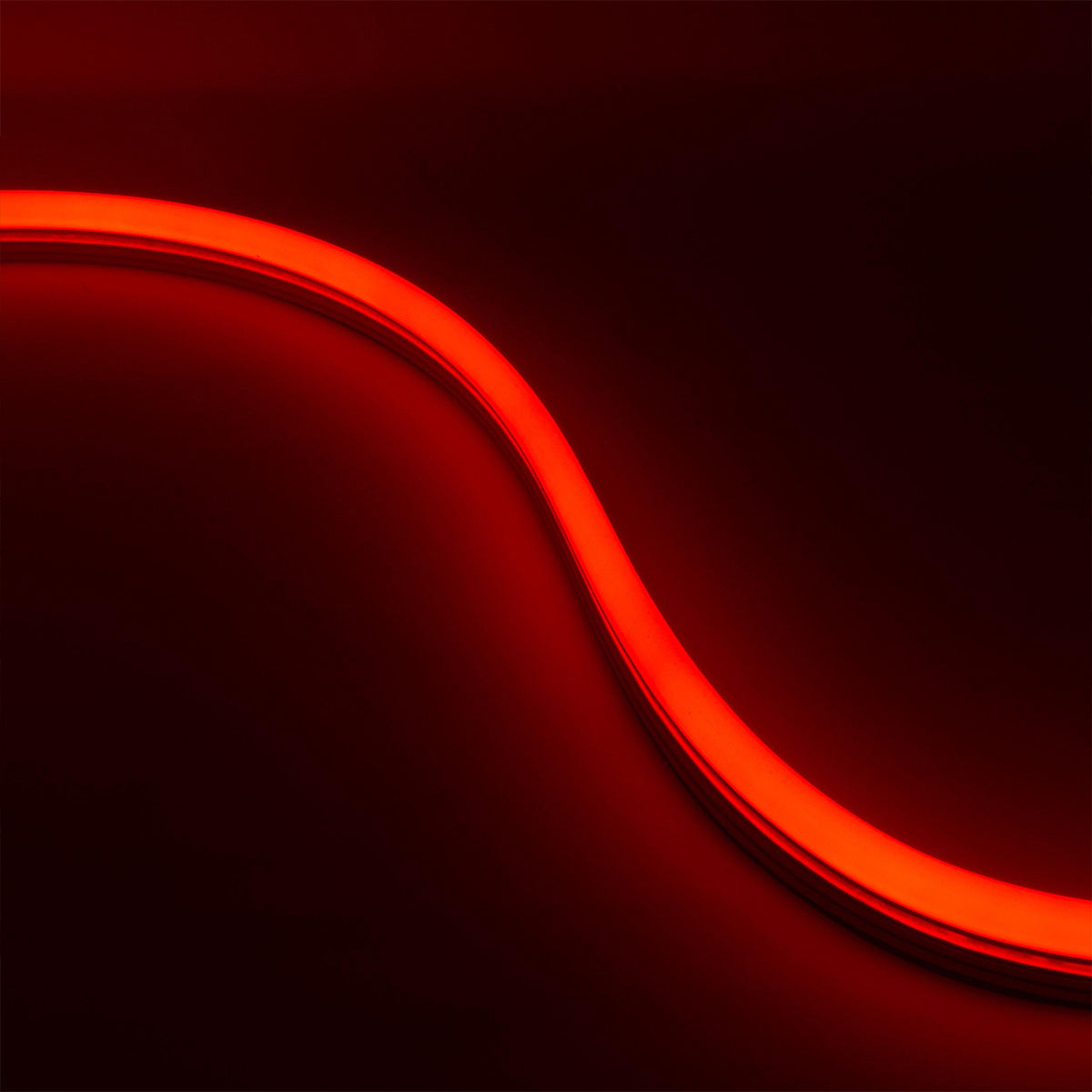 Neon BLAZE LED Neon Strip Light, Red, 24V, Top Bending