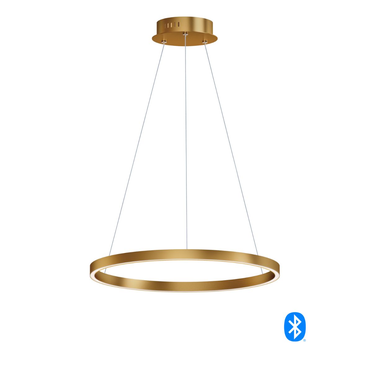 Groove LED Pendant WiZ - Bees Lighting