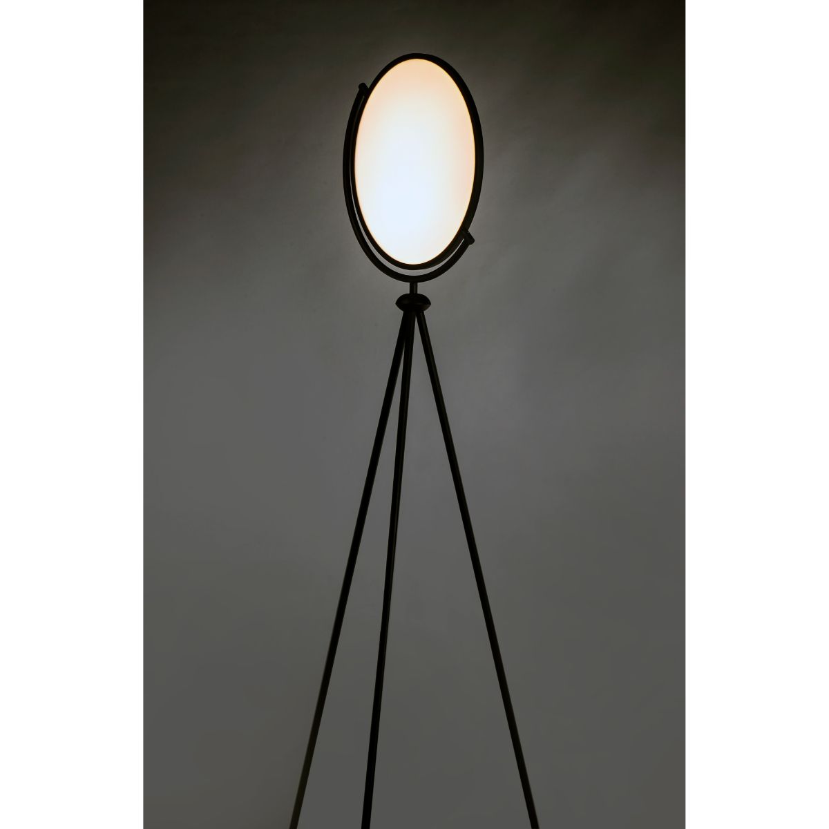 Paddle LED Floor Lamp With Adjustable Disc and Black Finish