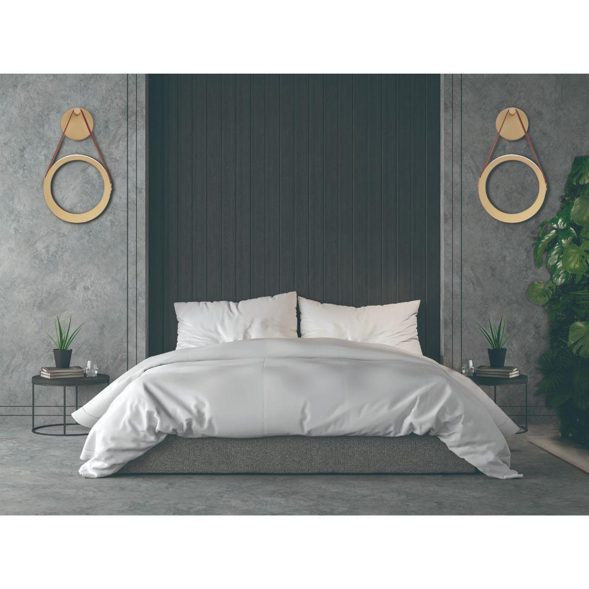 Tether 21 in. LED Armed Sconce Brass Finish