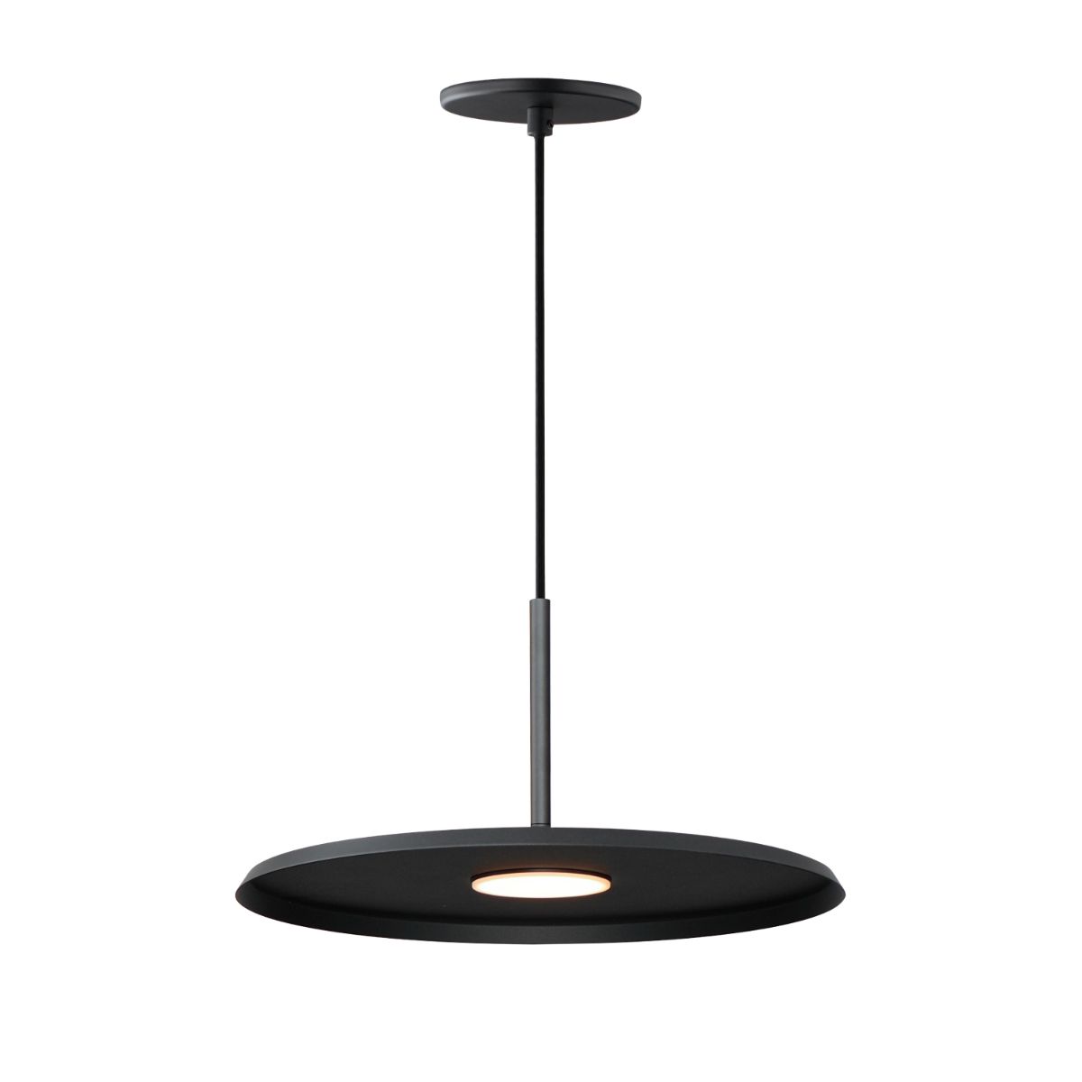 Berliner LED Pendant - Bees Lighting