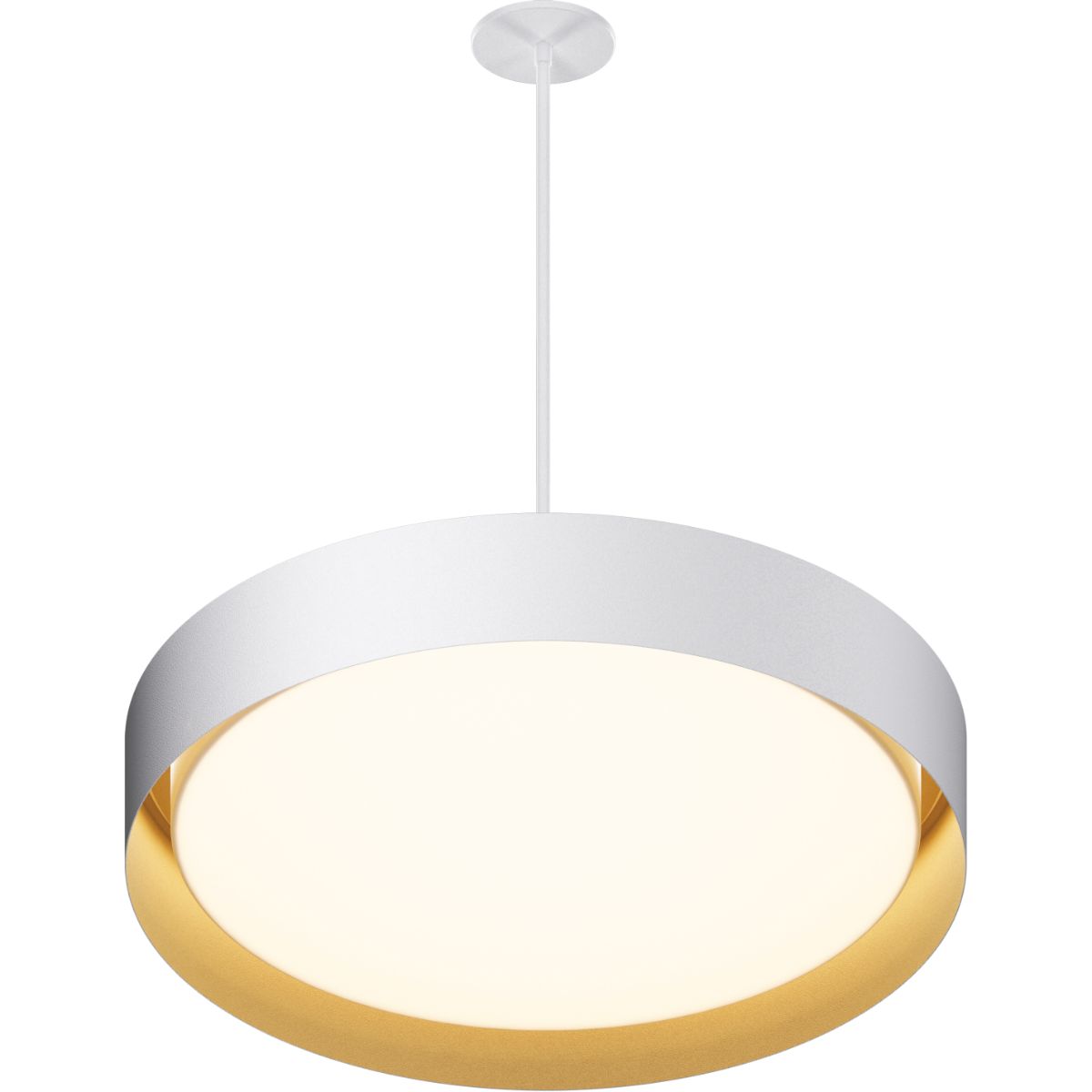 Echo LED Pendant - Bees Lighting
