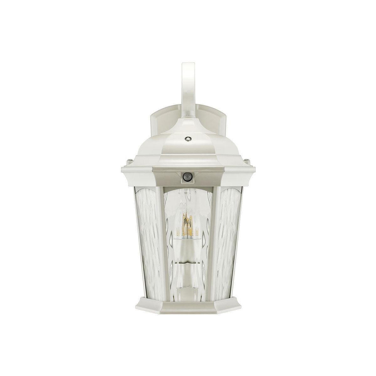 15 in. LED Outdoor Wall Lantern 1200 Lumens 3000K White finish - Bees Lighting