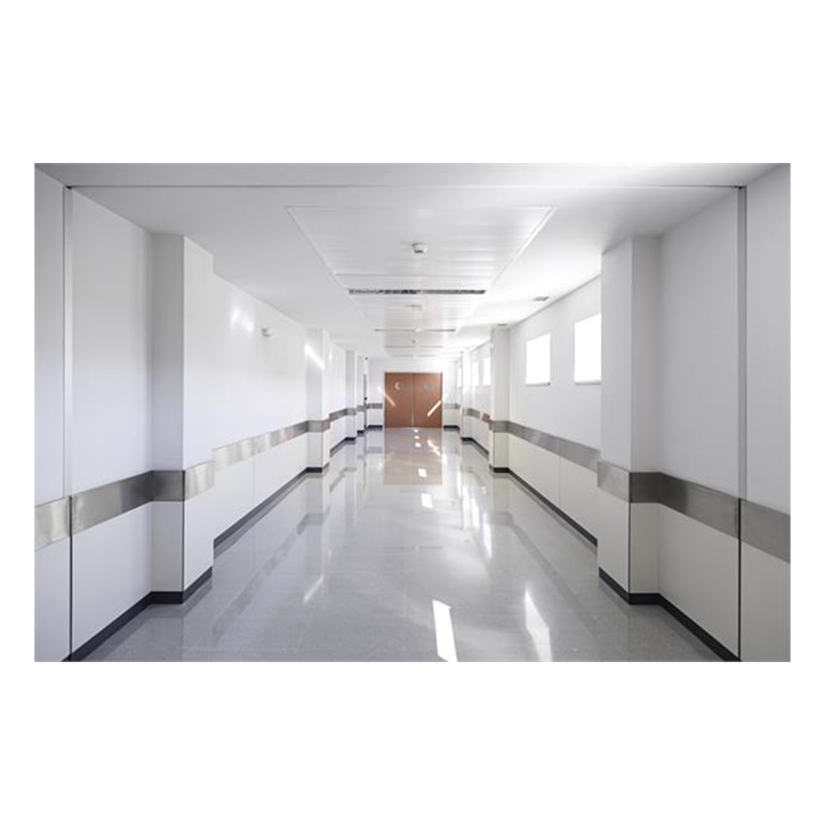 LED Emergency Light, 220 Lumens, Surface Mount, White - Bees Lighting