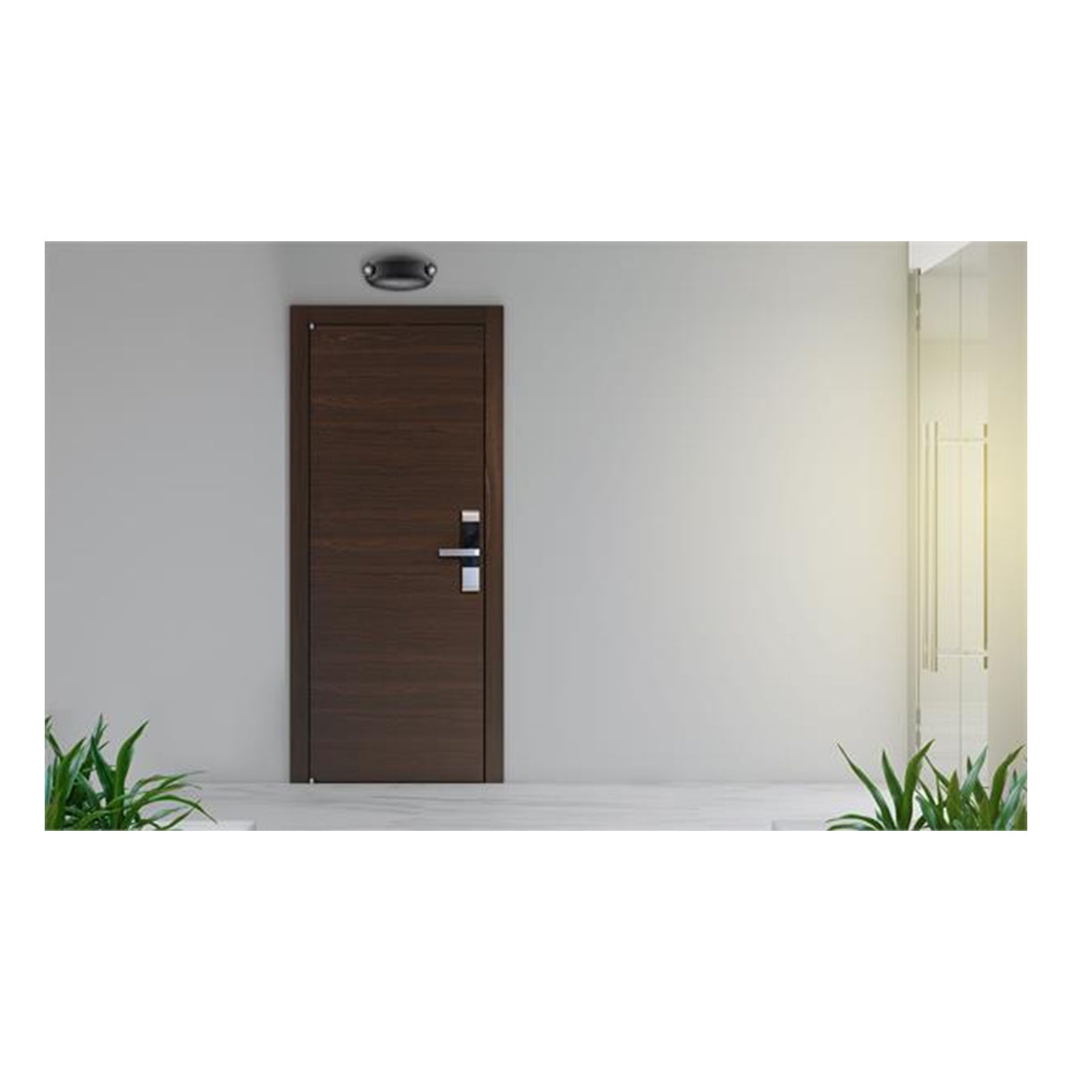 LED Emergency Light, 220 Lumens, Surface Mount, White - Bees Lighting