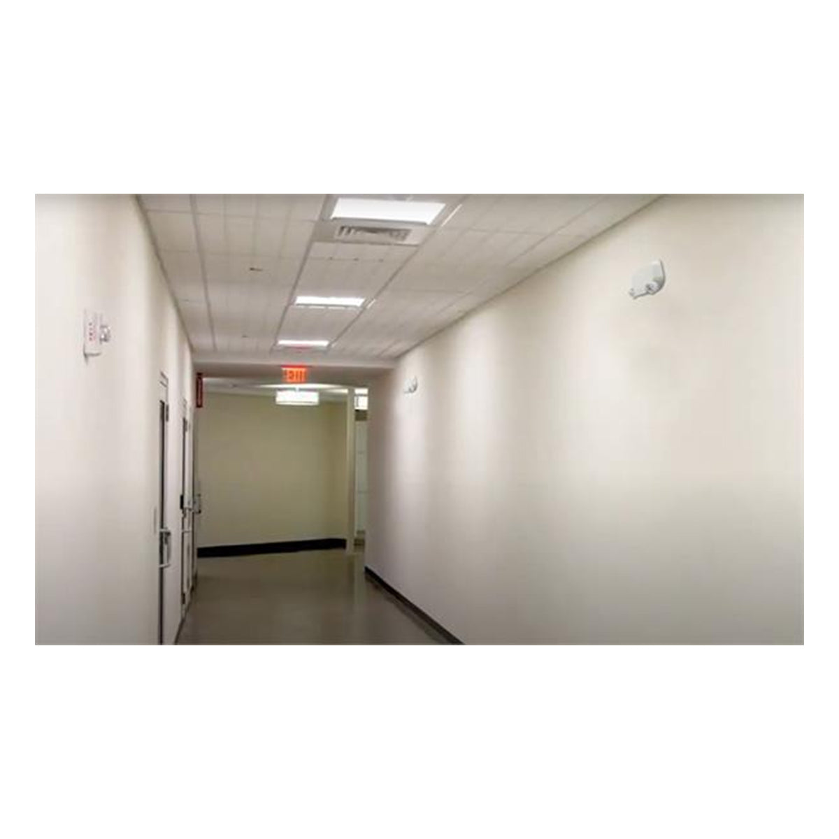 LED Emergency Light, 1.5 Watts, 2 Adjustable Light Heads, 120-277V, Remote Capable, White - Bees Lighting