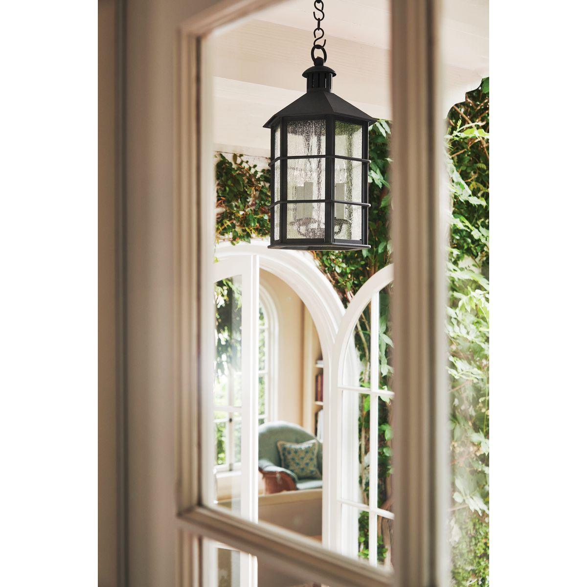 LAKE COUNTY 26 in. 4 Lights Outdoor Hanging Lantern iron finish - Bees Lighting