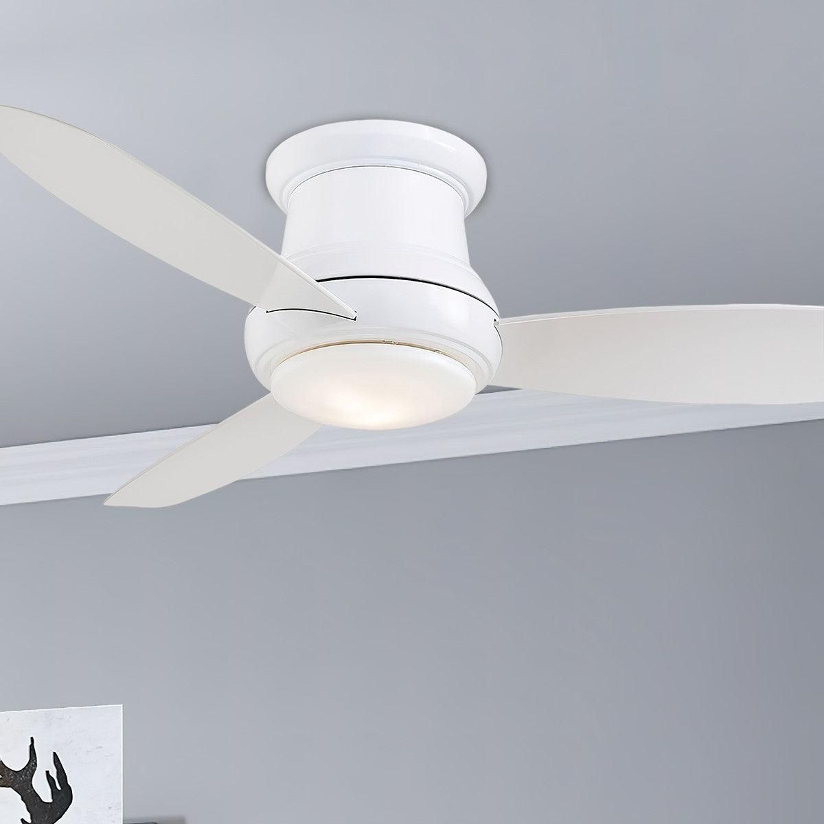 Concept II 44 Inch Modern Ceiling Fan With Light And Remote - Bees Lighting
