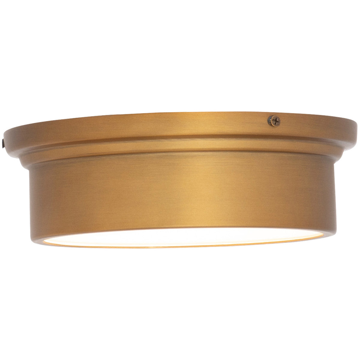 York 8 in. LED Flush Mount Light - Bees Lighting