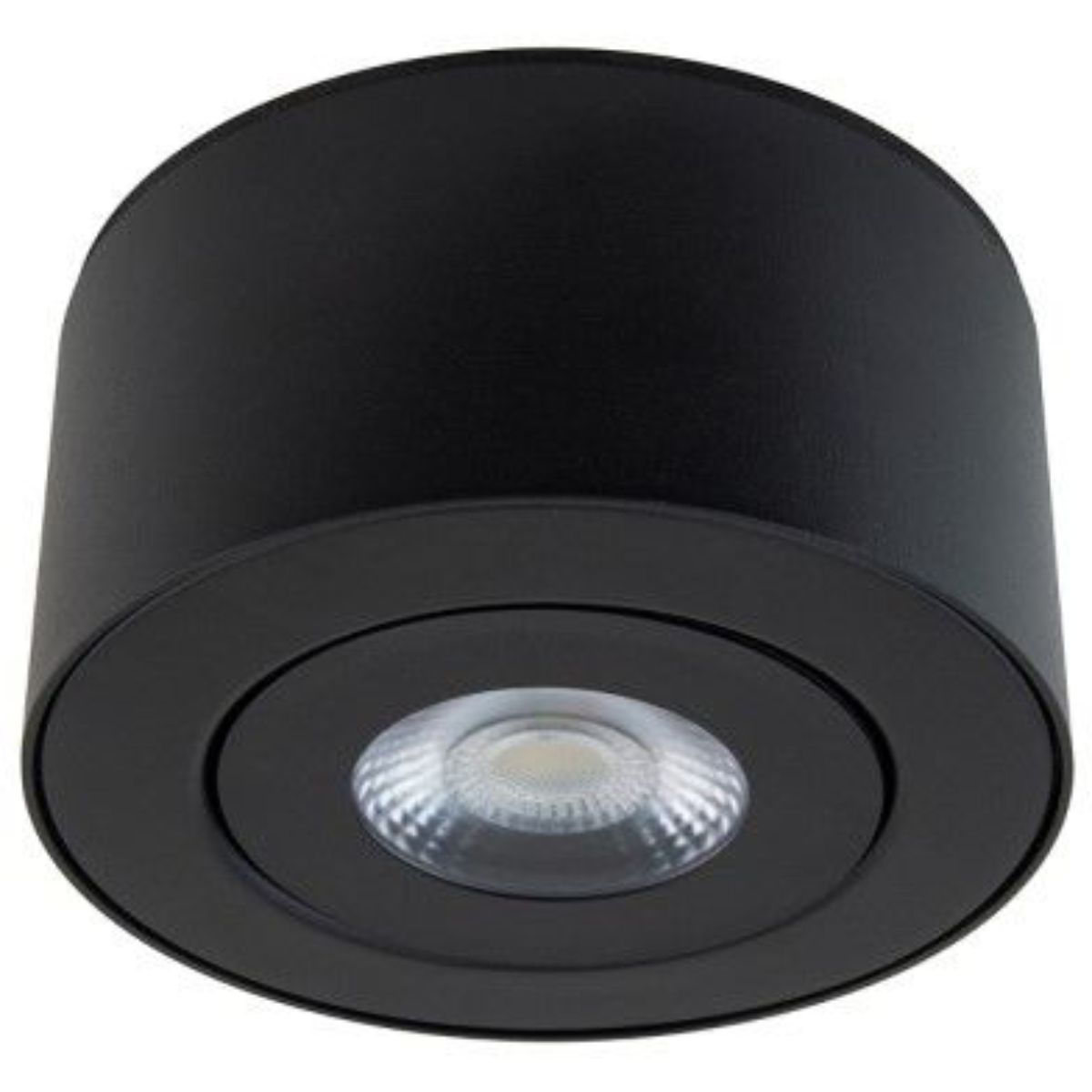 I Spy 5" LED Outdoor Flush Mount, 3000K, Black Finish - Bees Lighting