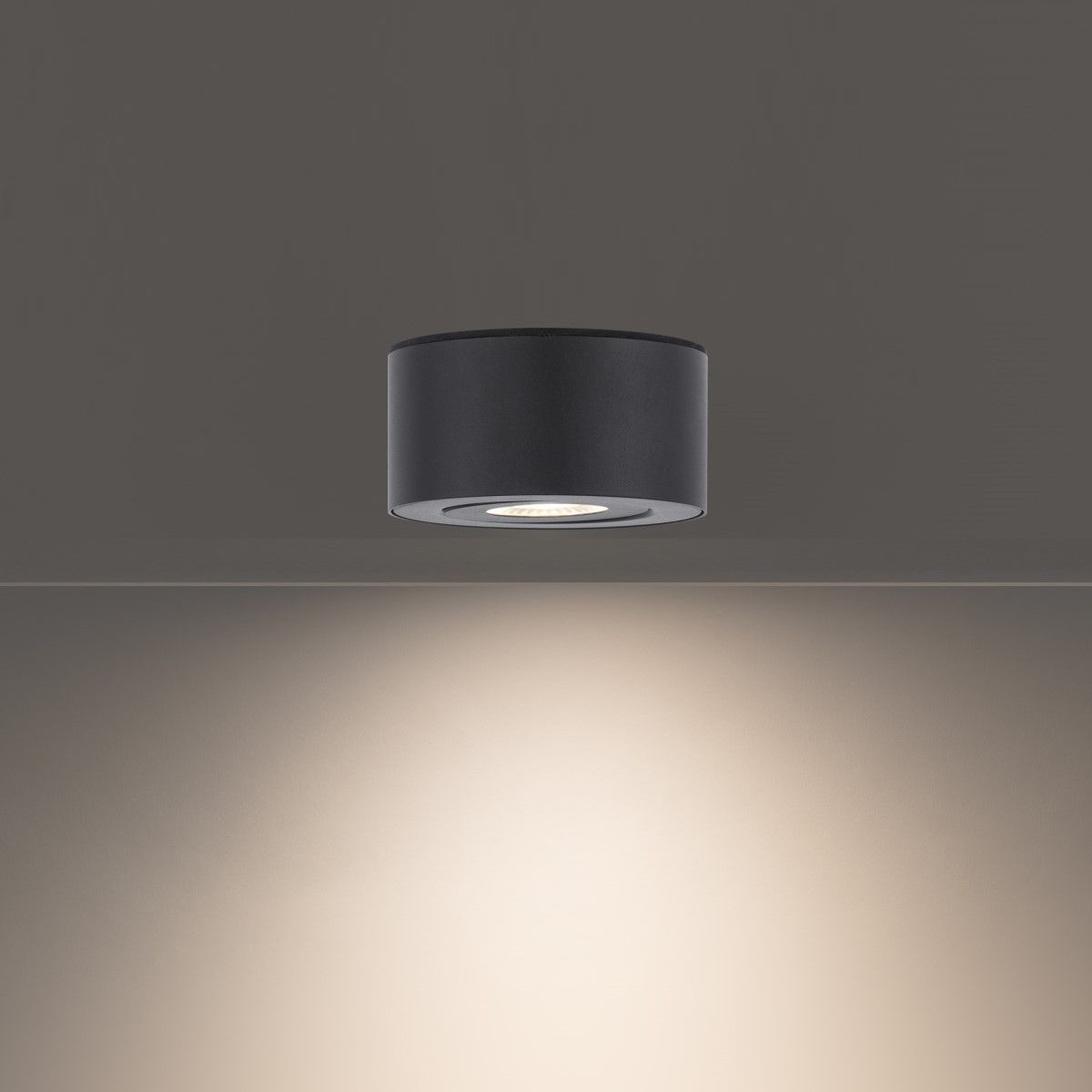 I Spy 5" LED Outdoor Flush Mount, 3000K, Black Finish - Bees Lighting