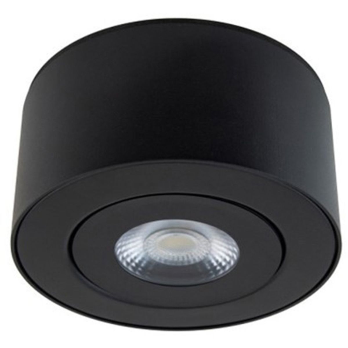 I Spy 5 In. LED Outdoor Flush Mount, 3000K - Bees Lighting