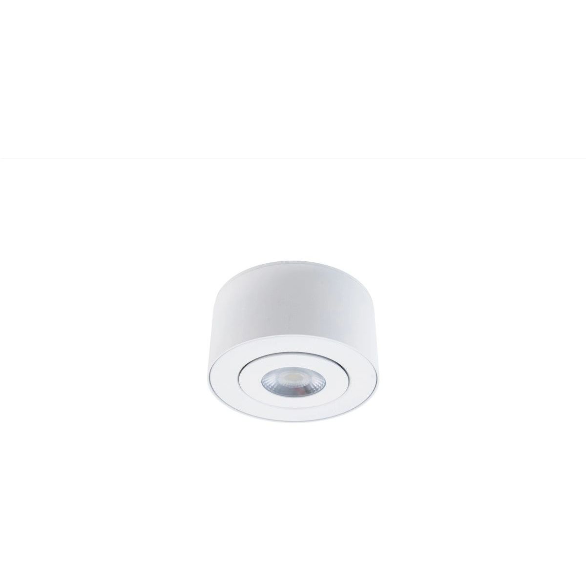 I Spy 5" LED Outdoor Flush Mount, 3000K, White Finish - Bees Lighting