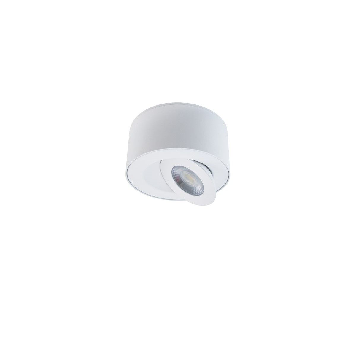 I Spy 5" LED Outdoor Flush Mount, 3000K, White Finish - Bees Lighting