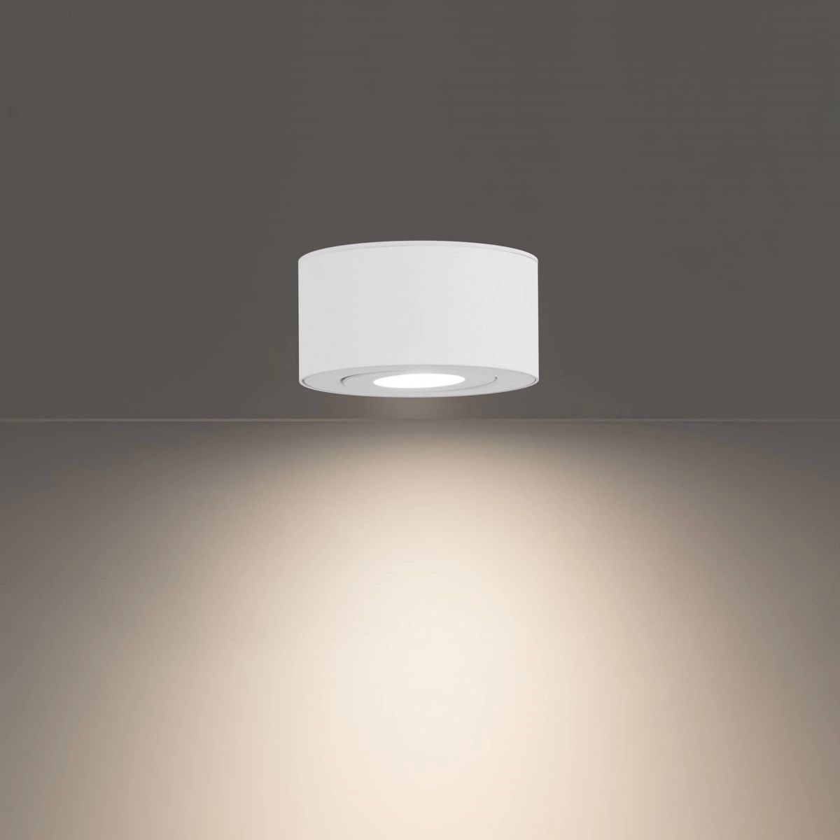 I Spy 5" LED Outdoor Flush Mount, 3000K, White Finish - Bees Lighting