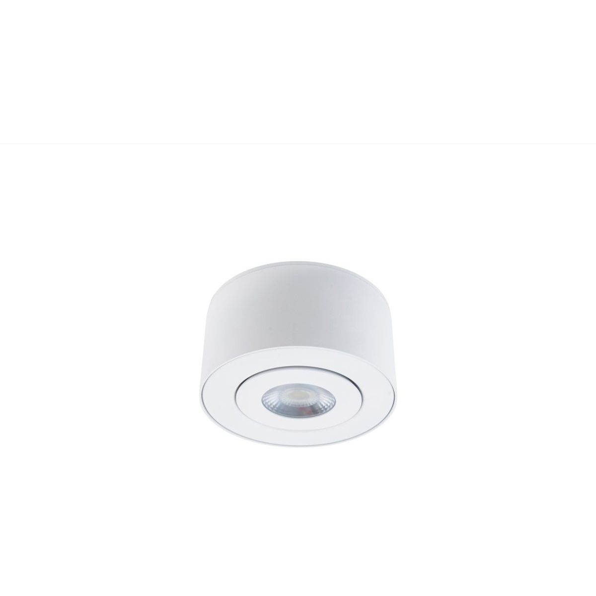 I Spy 5 In. LED Outdoor Flush Mount 3000K - Bees Lighting