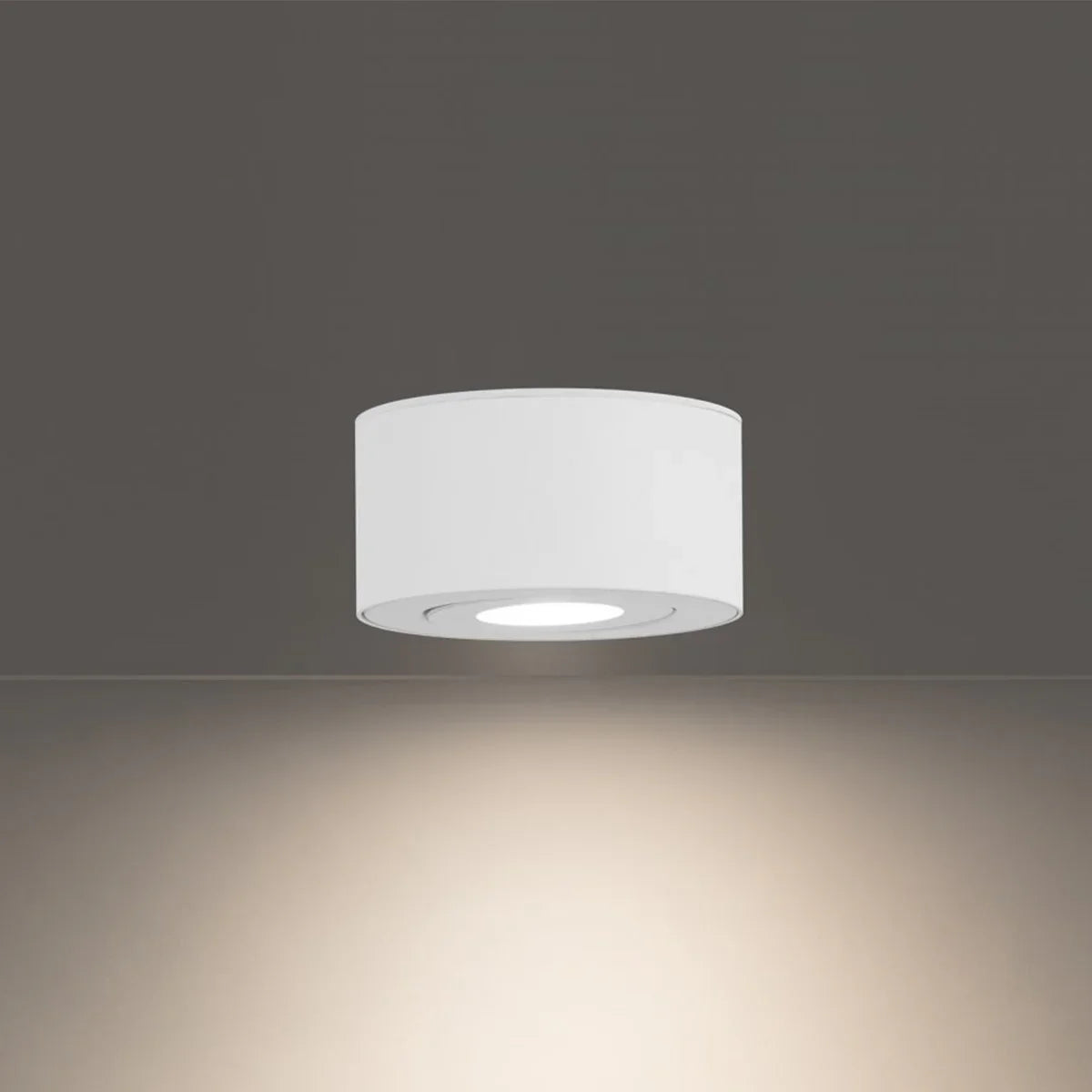 I Spy 5 In. LED Outdoor Flush Mount 3000K - Bees Lighting