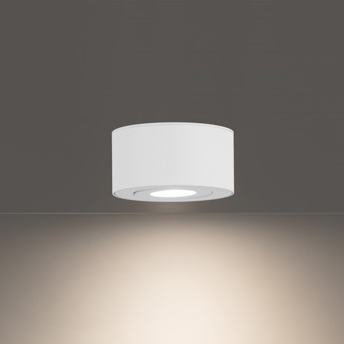 I Spy 5" LED Outdoor Flush Mount, 3000K, White Finish - Bees Lighting