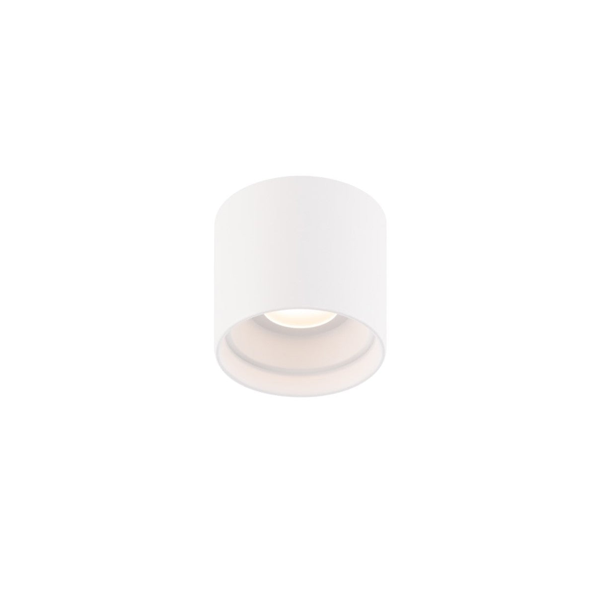 Squat 5 In. LED Outdoor Flush Mount 3000K - Bees Lighting