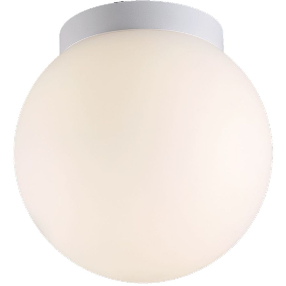 Flush Mount Ceiling Light