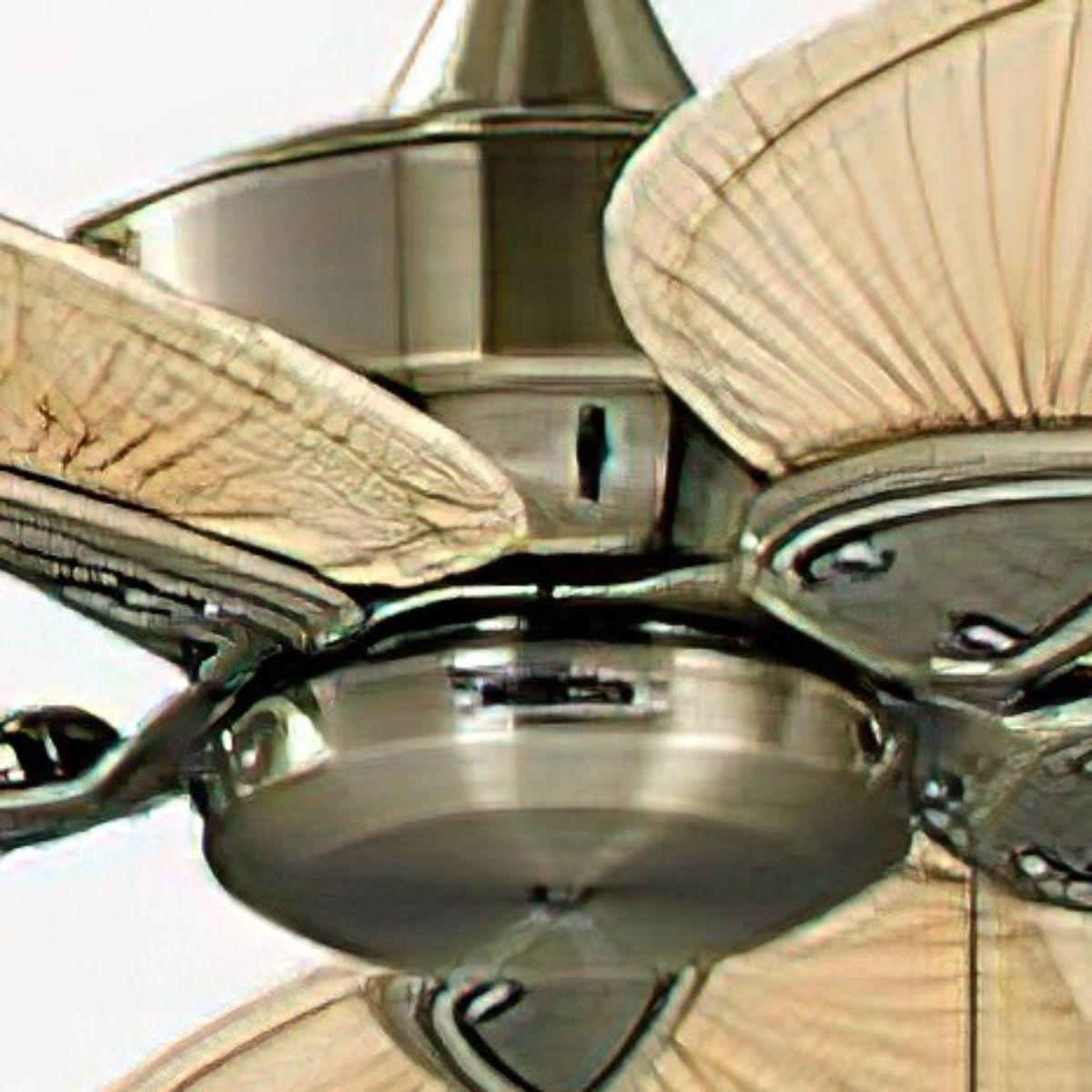 Windpointe 52 Inch Antique Brass and Natural Narrow Oval Blades Ceiling Fan with Pull Chain - Bees Lighting