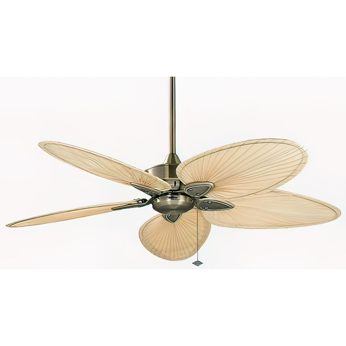 Windpointe 52 Inch Antique Brass and Natural Narrow Oval Blades Ceiling Fan with Pull Chain - Bees Lighting