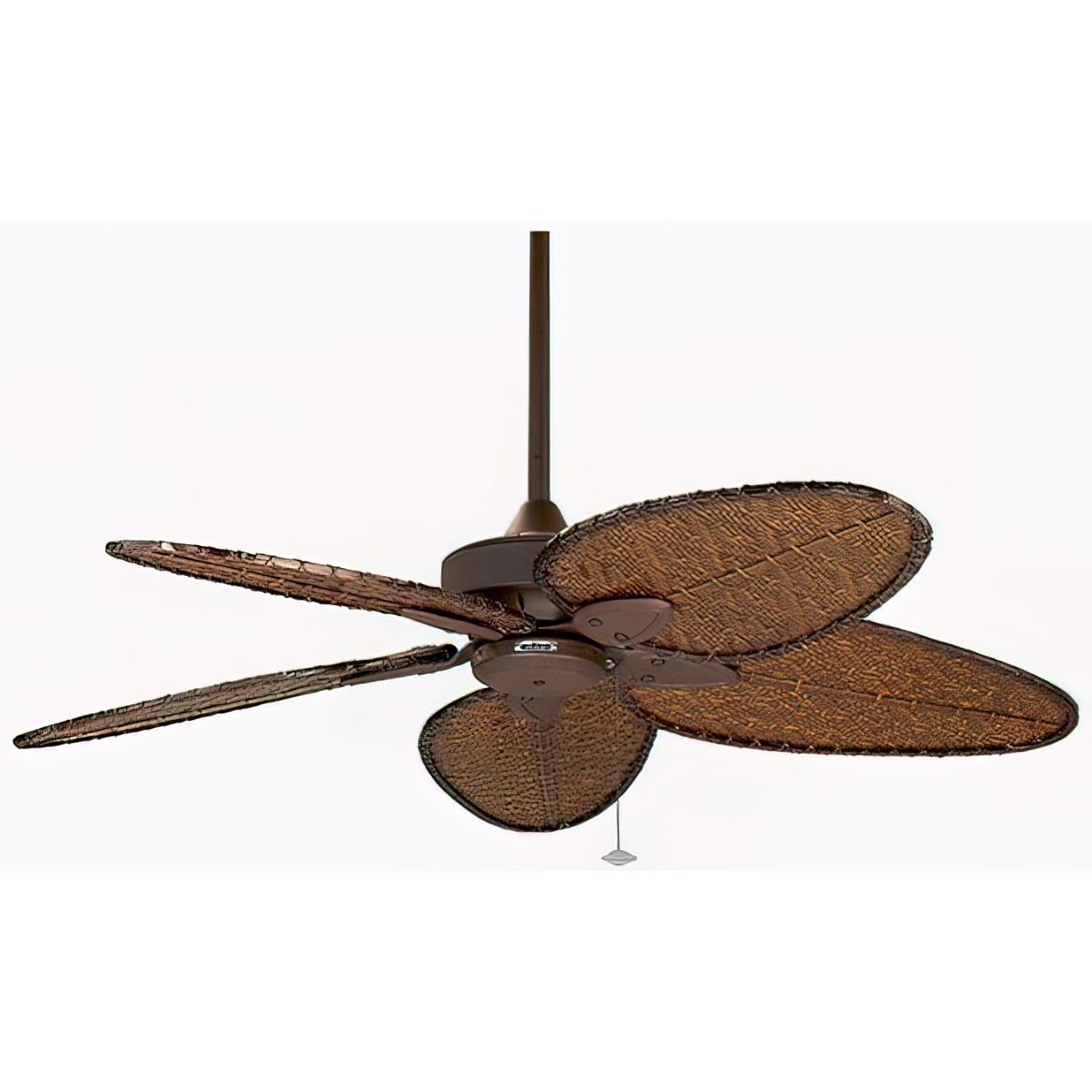 Windpointe 52 Inch Rust and Antique Narrow Oval Blades Ceiling Fan with Pull Chain - Bees Lighting