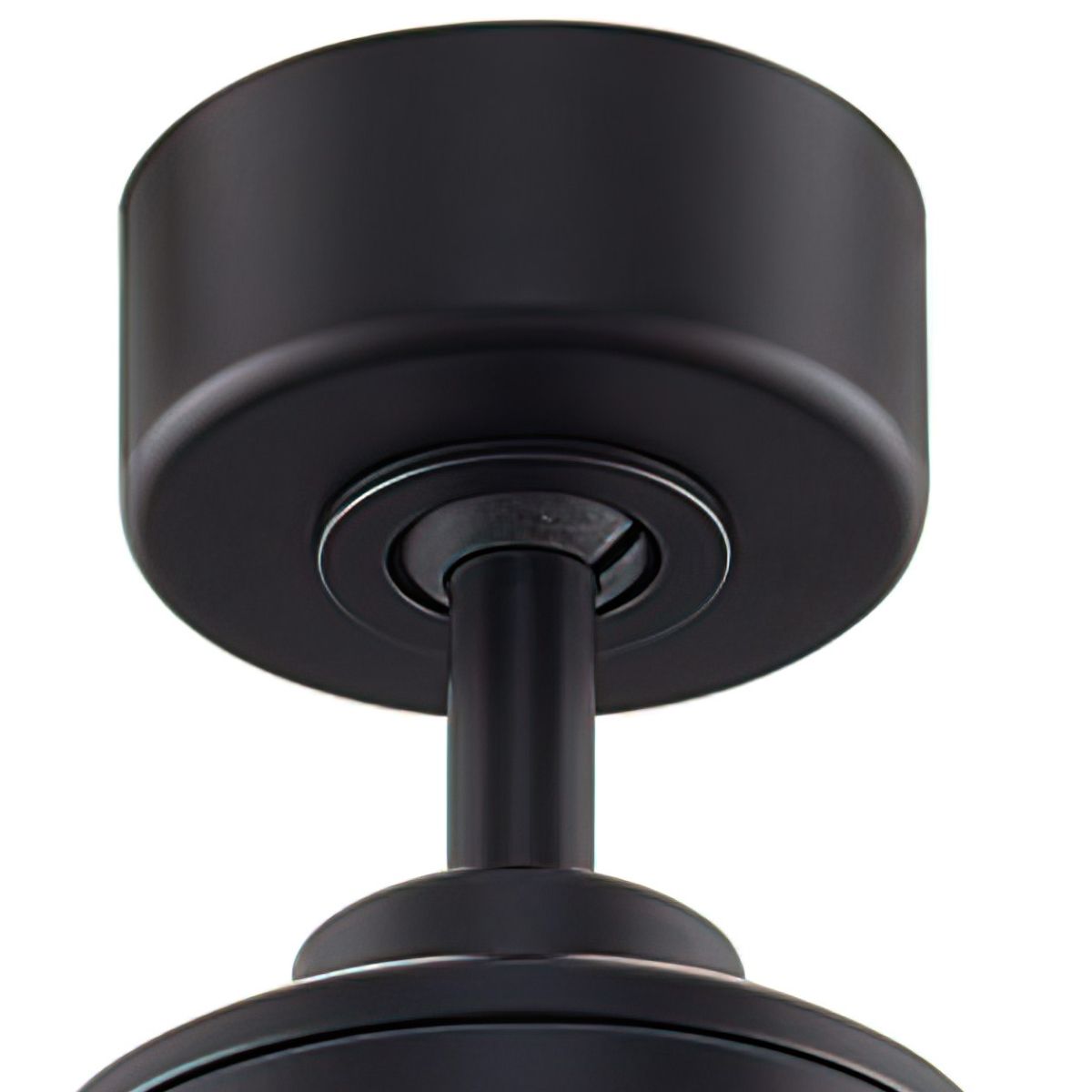 Gleam 24" Black Damp Rated Modern Chandelier Ceiling Fan with Light and Remote - Bees Lighting