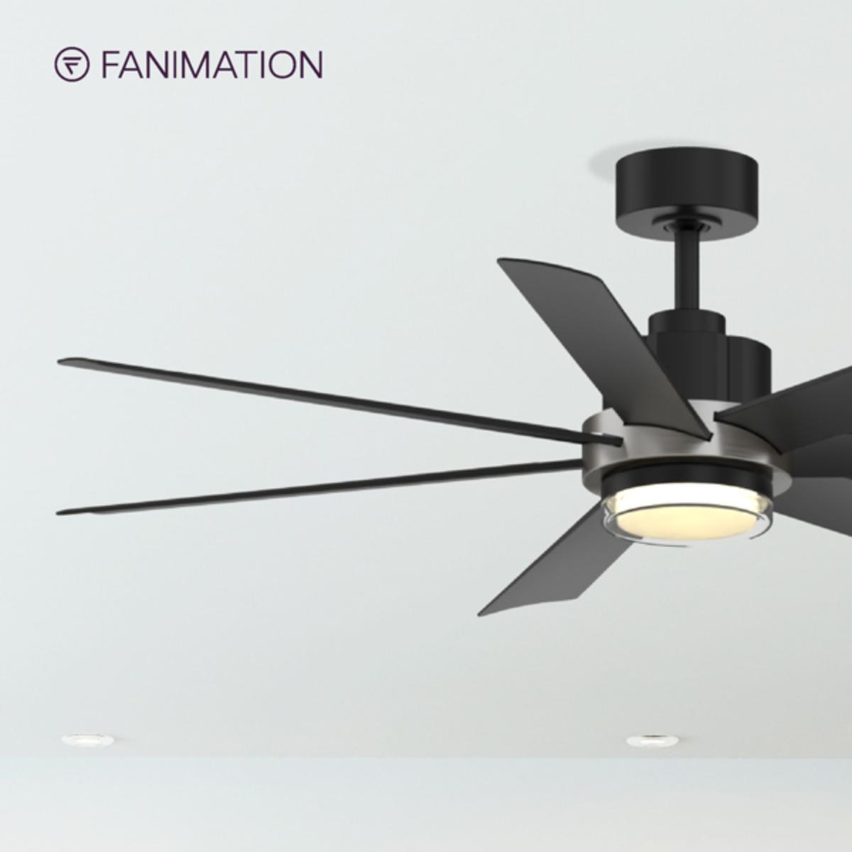 Pendry 56 inch Black and Brushed Nickel Damp Rated Ceiling Fan with Remote - Bees Lighting
