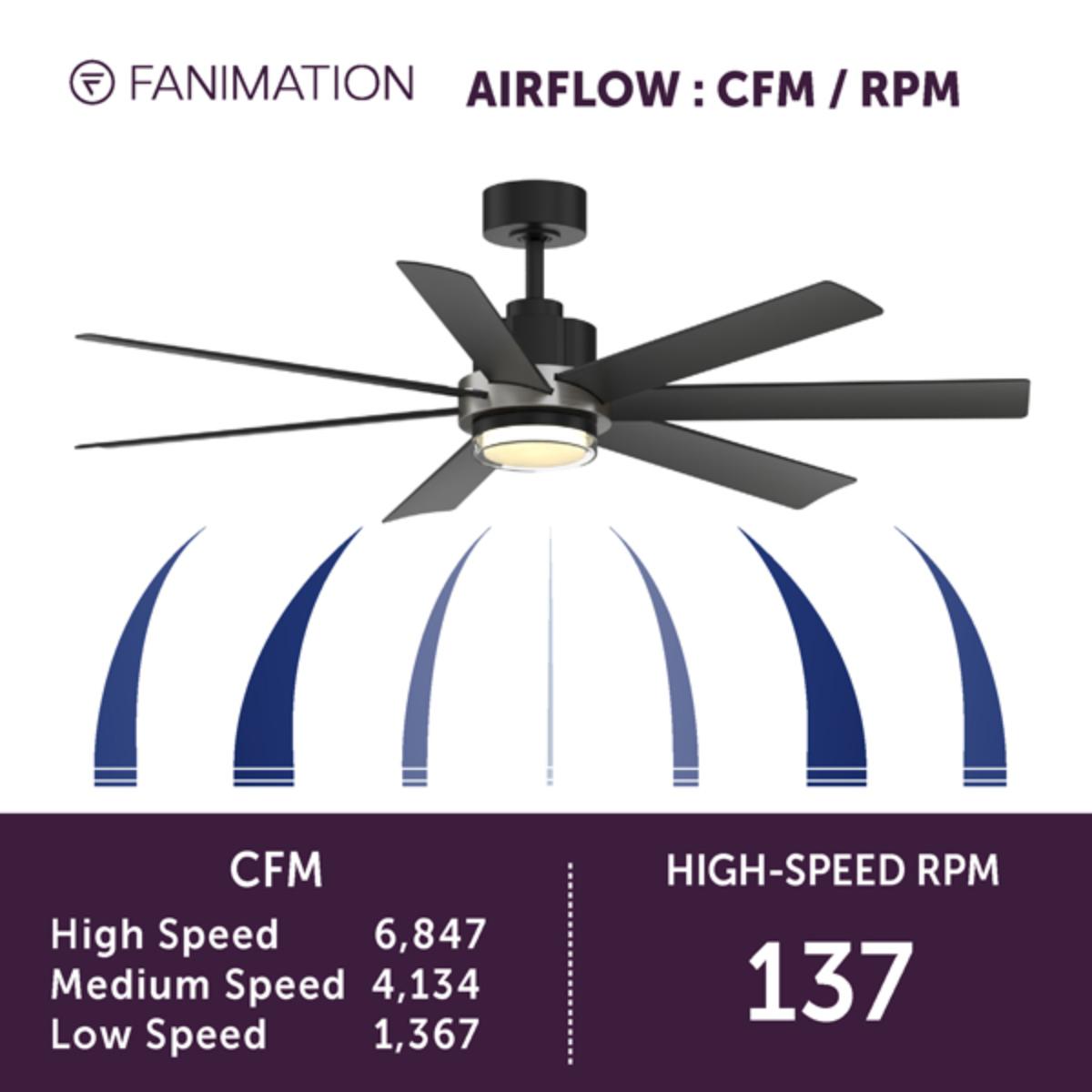 Pendry 56 inch Black and Brushed Nickel Damp Rated Ceiling Fan with Remote - Bees Lighting