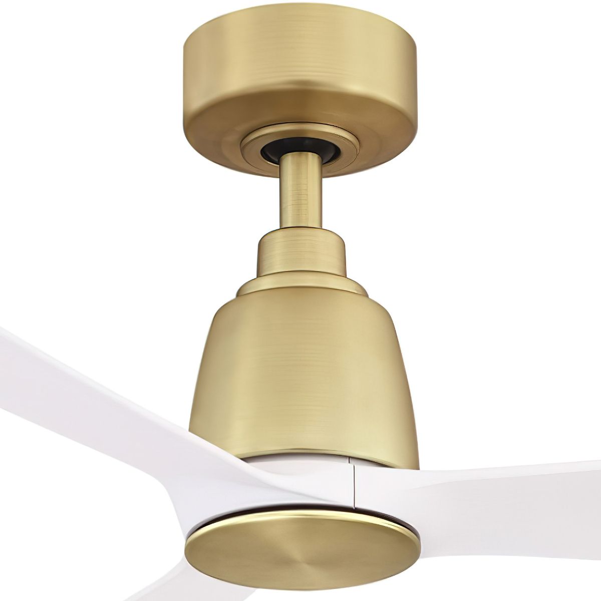 Kute 44 Inch Brushed Satin Brass Damp Rated Modern Ceiling Fan with Remote - Bees Lighting