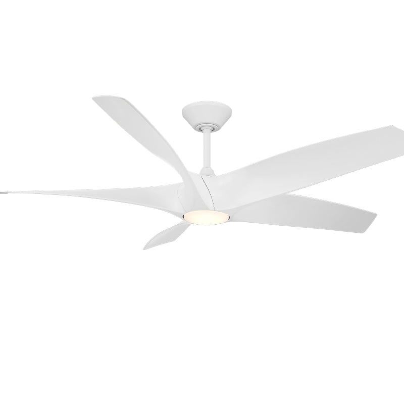 Zephyr 60 Inch Outdoor Modern Smart Ceiling Fan With CCT LED Light And Remote, 5 Blades