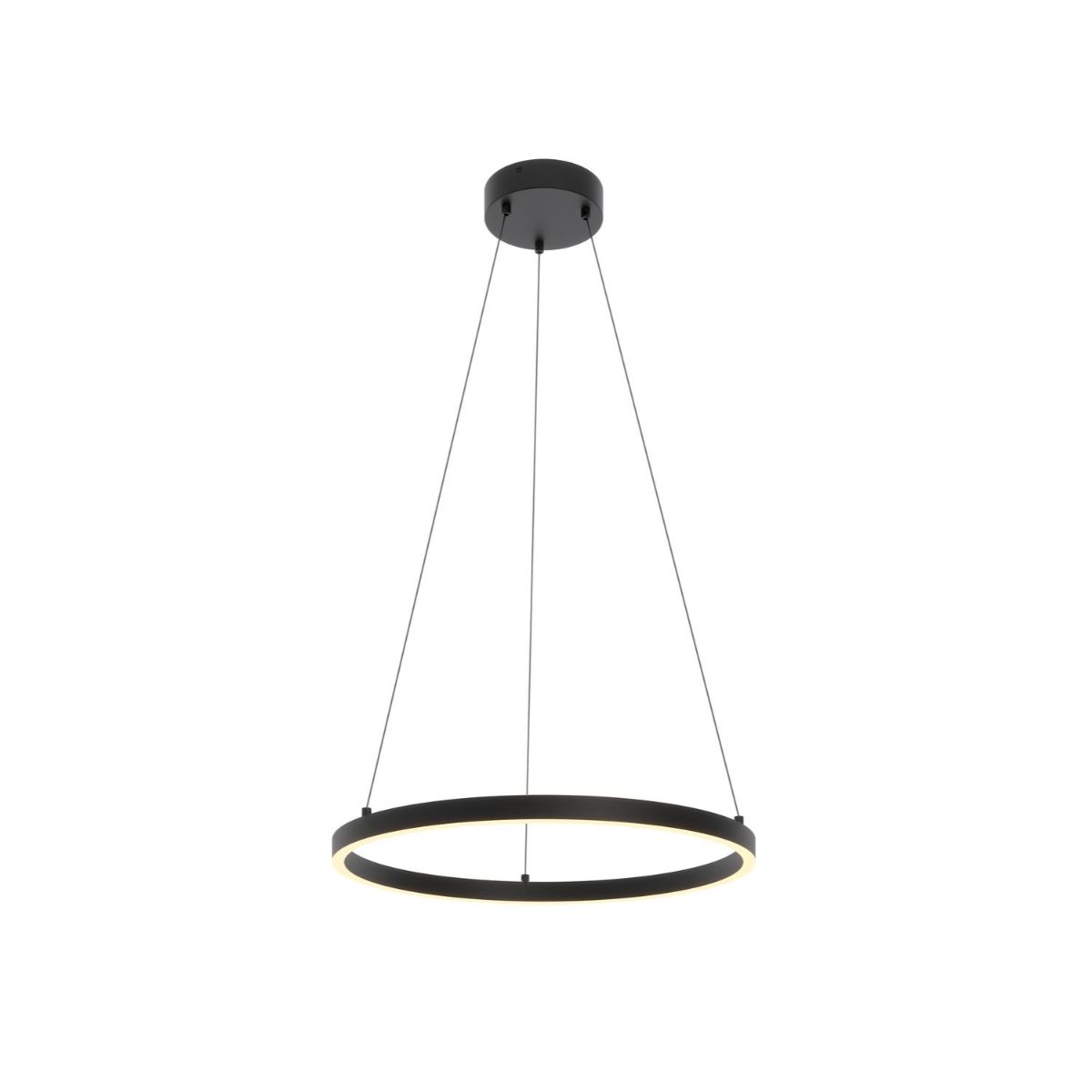 Glo 24 In. LED Pendant Light Black Finish - Bees Lighting