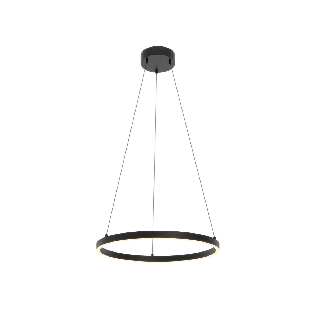 Glo 24 In. LED Pendant Light