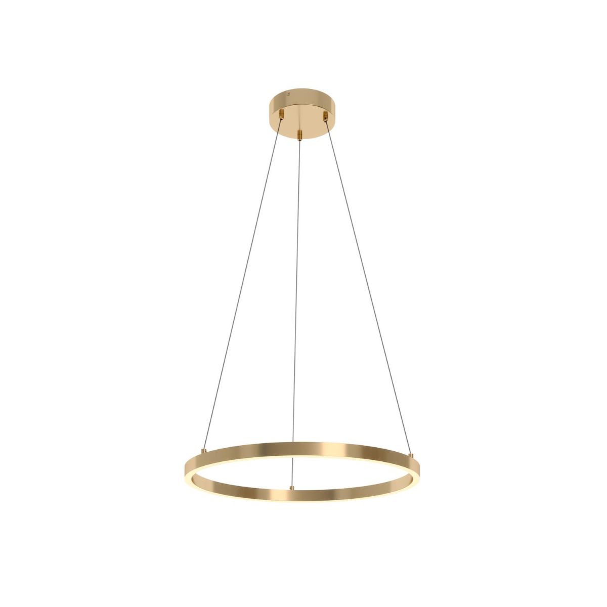 Glo 24 In. LED Pendant Light Satin Brass Finish - Bees Lighting