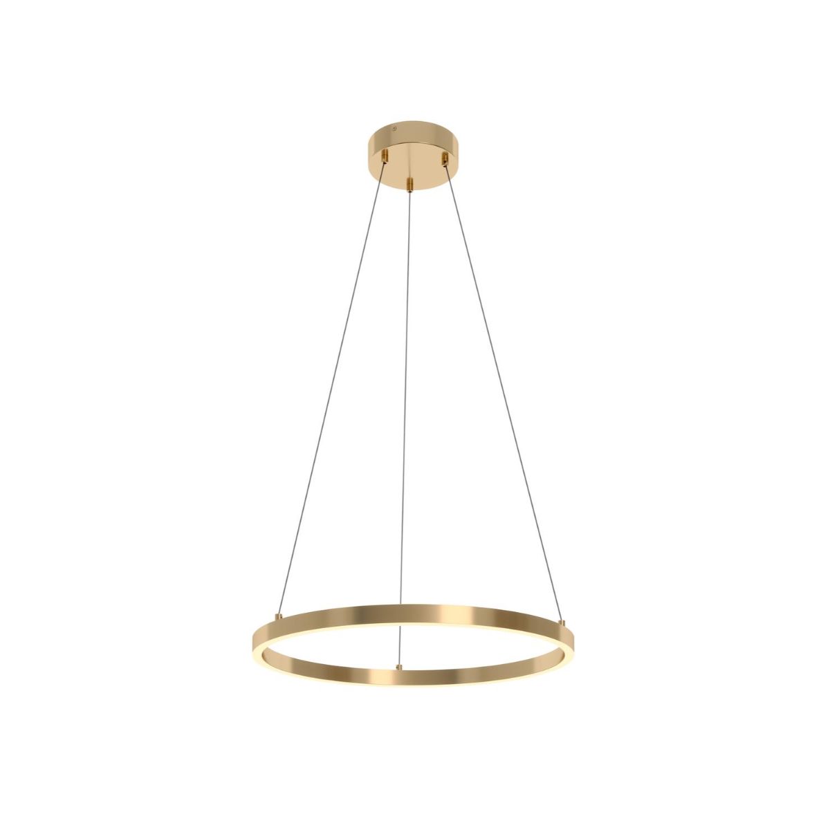 Glo 24 In. LED Pendant Light