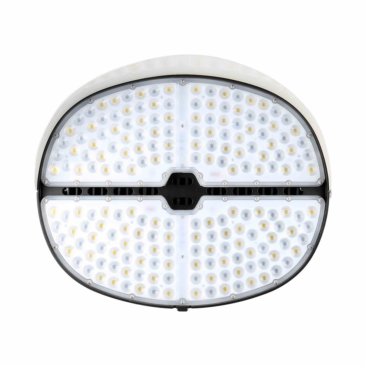 LED Sport Stadium Light, 850 Watts, 120000 lm, NEMA 4Hx4V, Trunnion Mount, 5700K, 200-480V - Bees Lighting