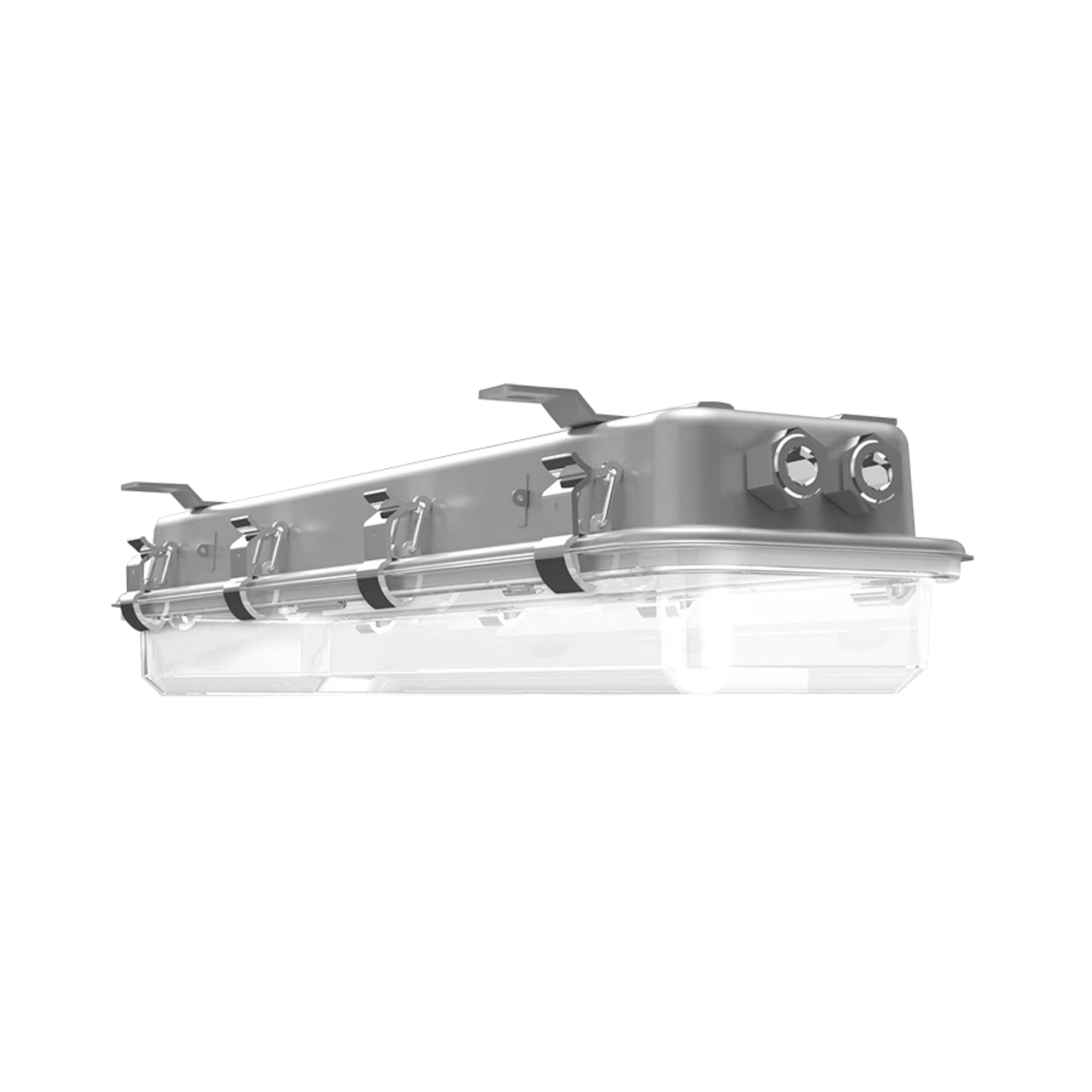 LED Explosion Proof Light, 30W, 4000 Lumens, 5000K, 120-277V - Bees Lighting