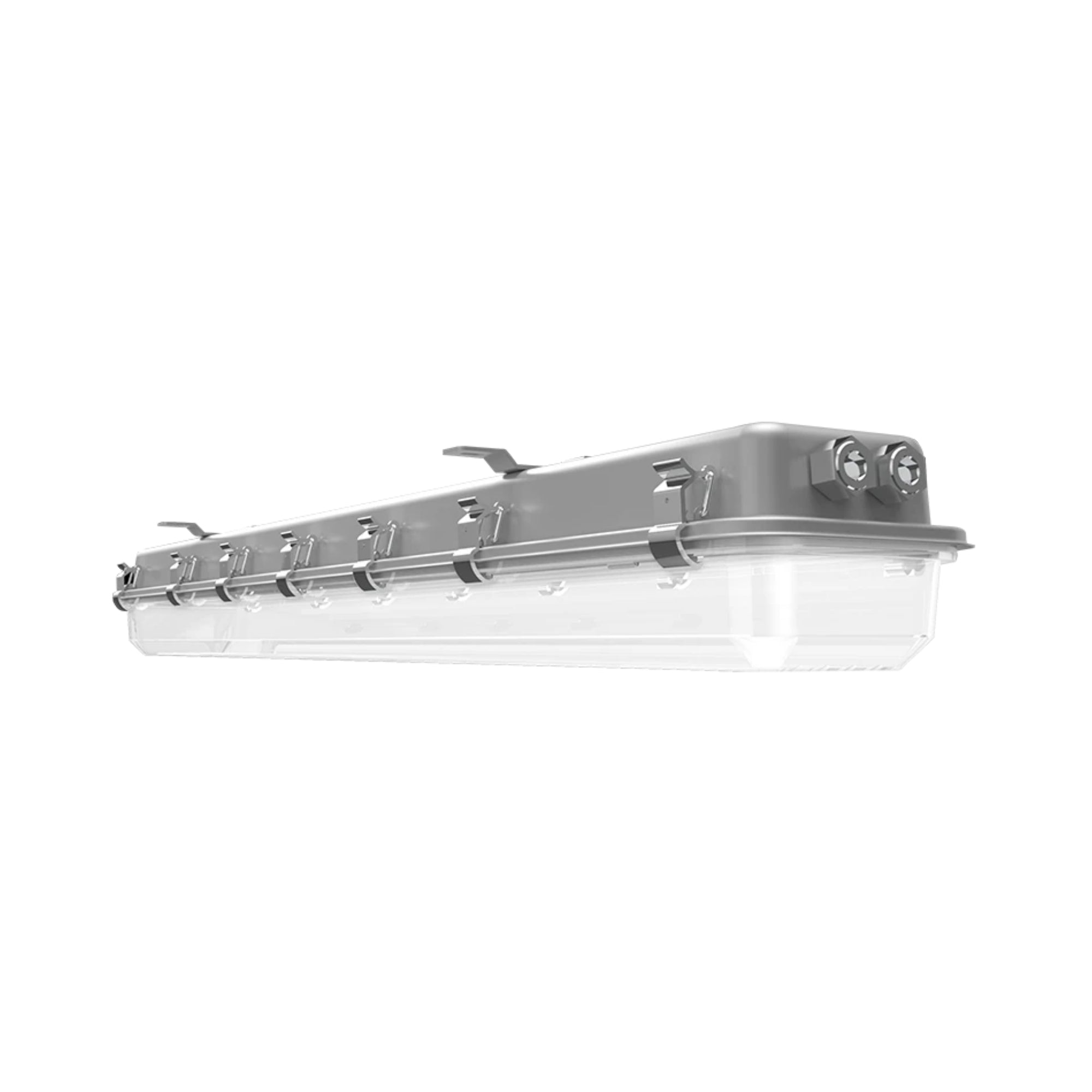 LED Explosion Proof Light, 50W, 7000 Lumens, 5000K, 120-277V - Bees Lighting
