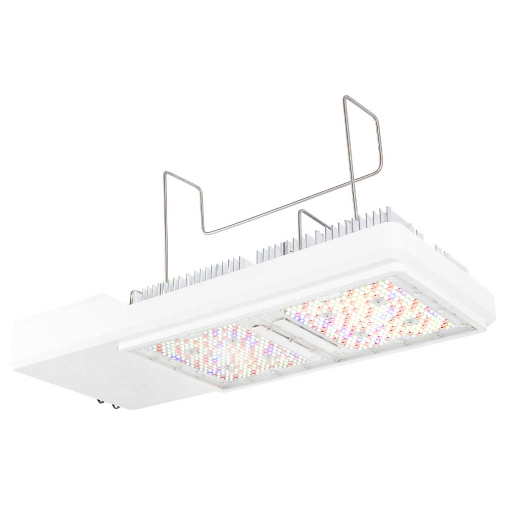 Gavita CT1930e, LED Grow Light, 120-277V - Bees Lighting