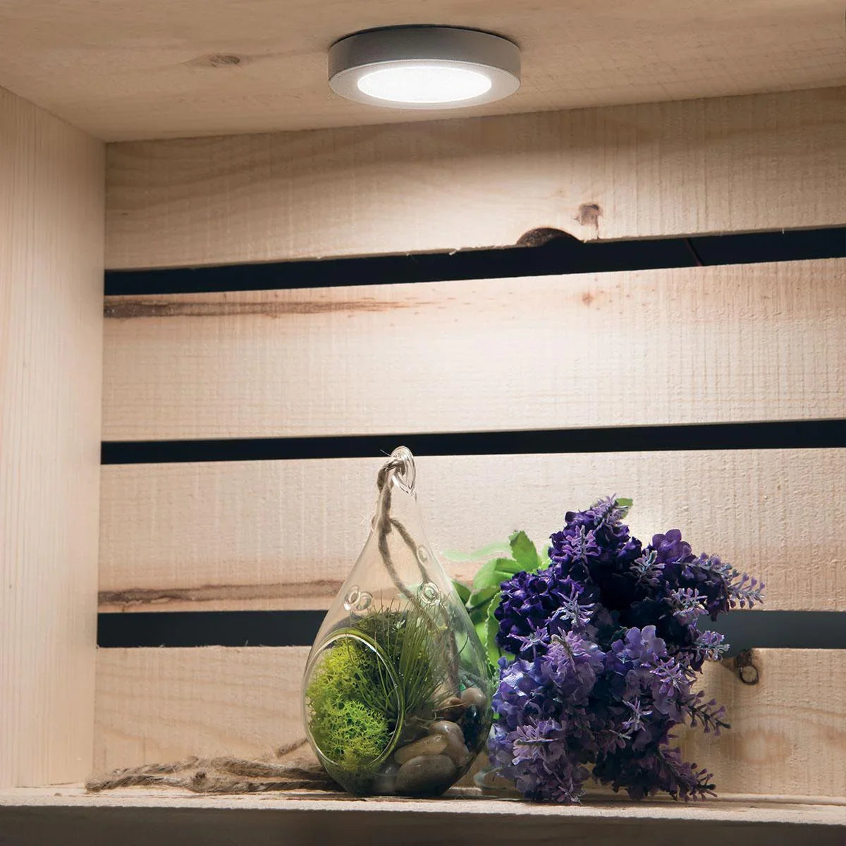 120V 3-CCT Puck Light, 290Lm, Surface/Recess, 120V AC - Bees Lighting