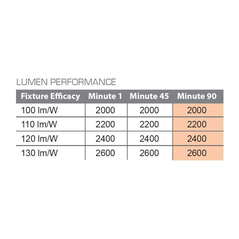 LED Emergency Drivers, 20 Watts Output, 55-200V DC High Output, 90 Minutes, Self-Diagnostic, Dual Flex