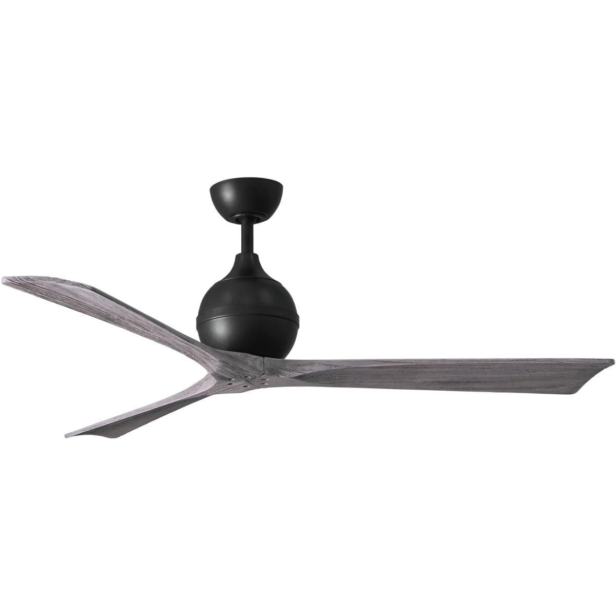 Irene 60 Inch Modern Outdoor Ceiling Fan With Remote And Wall Control - Bees Lighting