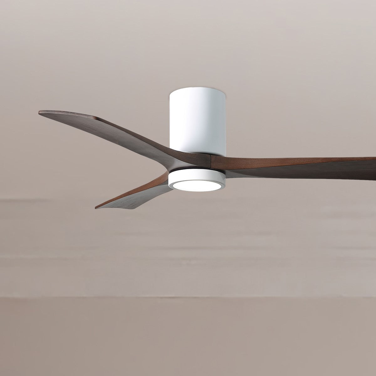 Irene 3-Blade 52 Inch LED Hugger Ceiling Fan with Remote, Gloss White with Walnut Blades