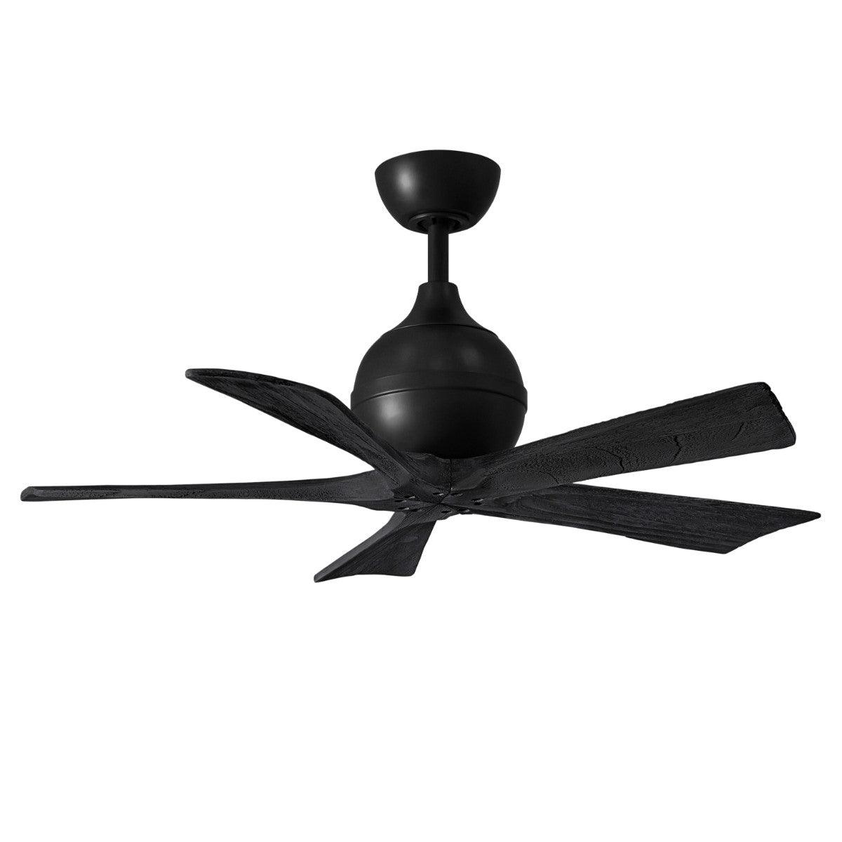 Irene 42 Inch 5 Blades Modern Outdoor Ceiling Fan With Remote And Wall Control